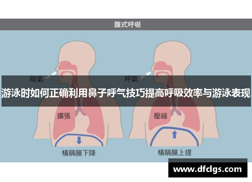 游泳时如何正确利用鼻子呼气技巧提高呼吸效率与游泳表现